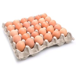telur ayam segar setiap hari